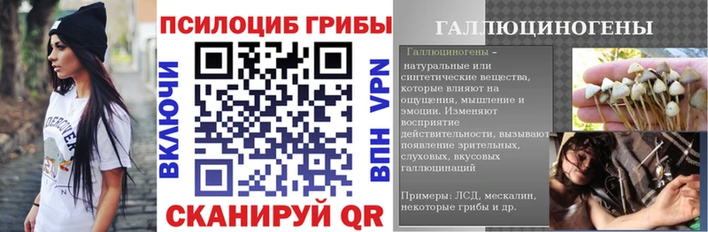 Псилоцибиновые грибы MAGIC MUSHROOMS  что такое   нарко площадка какой сайт  Кедровый 